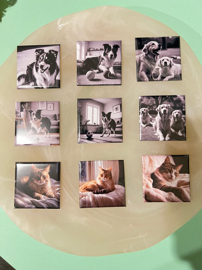 Square | Photo Magnet Bundles